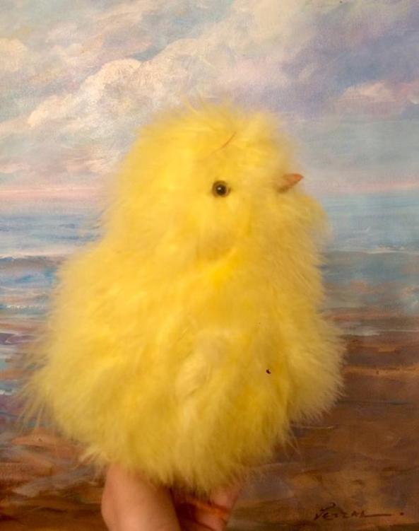 29852921_10155386154680732_808186016_n