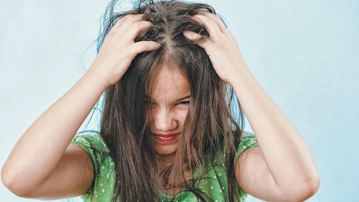 c9b21204d9f3307240c8d325424527fd_XL